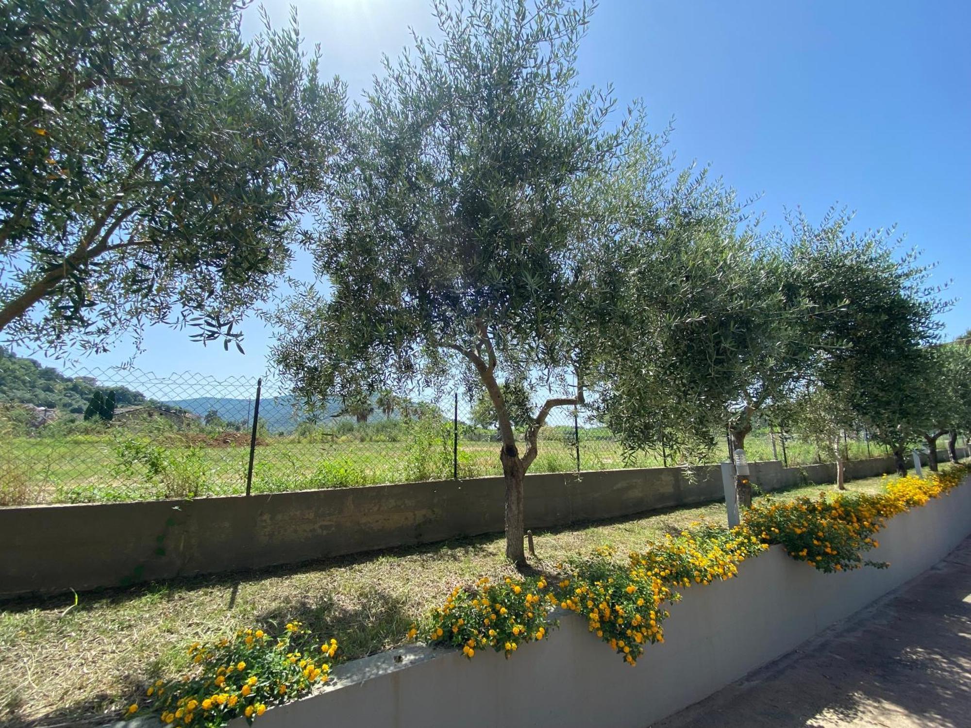 Miro' Agropoli Bed & Breakfast Bagian luar foto