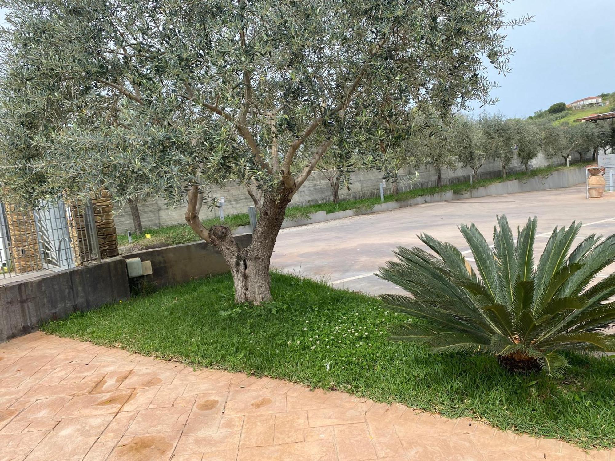 Miro' Agropoli Bed & Breakfast Bagian luar foto