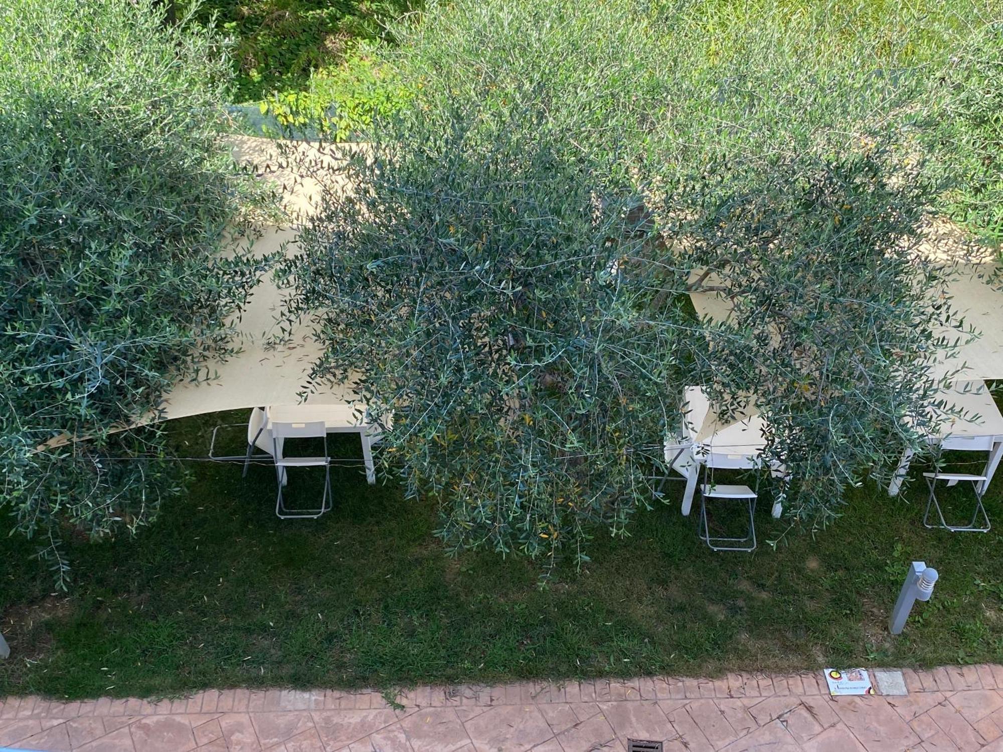 Miro' Agropoli Bed & Breakfast Bagian luar foto