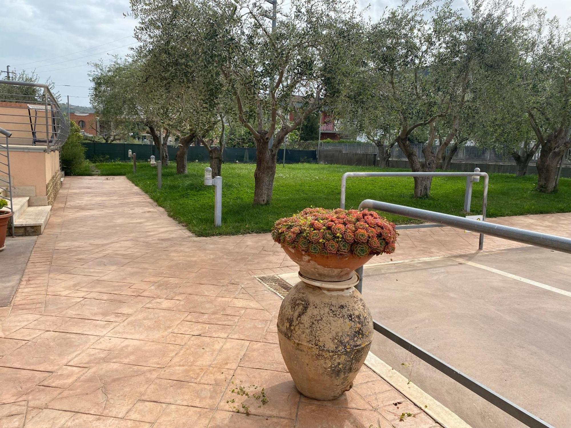 Miro' Agropoli Bed & Breakfast Bagian luar foto