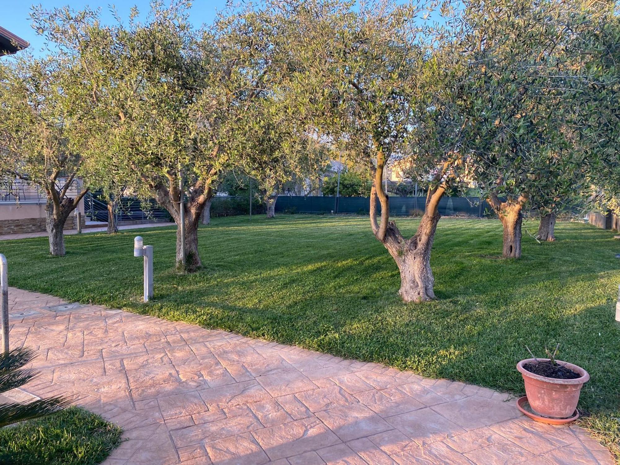 Miro' Agropoli Bed & Breakfast Bagian luar foto